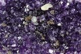 Free-Standing Amethyst Crystal Cluster - Uruguay #371621-1